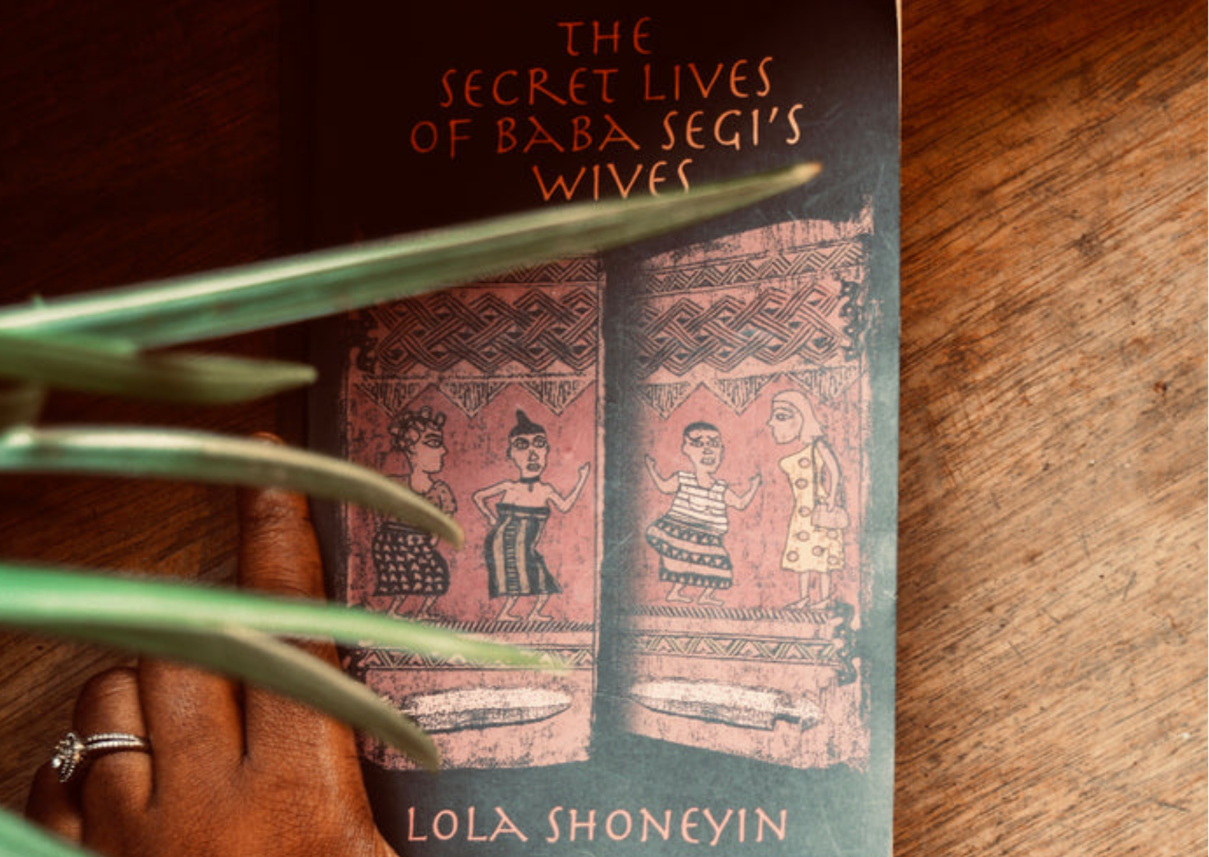 The Secret Lives of Baba Segi's Wives by Lola Agbe Davies || Book Club